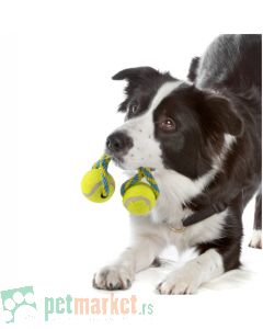 Pawise: Igračka za pse Tennis Bouncer Toss